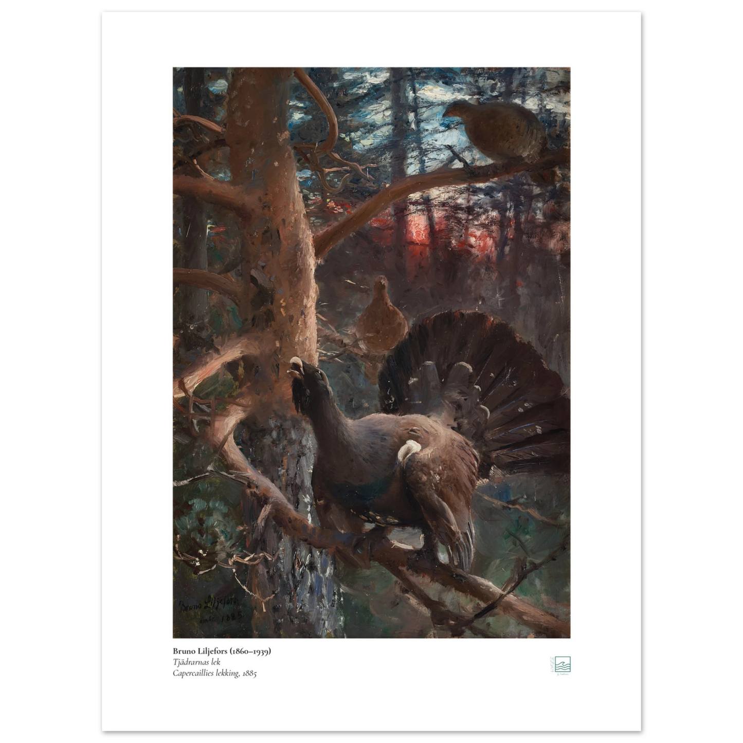 8322642b-de00-4b43-89a0-4d32787ad569