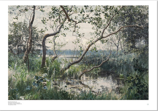 Krouthén: Water Vegetation Poster – Swedish Art