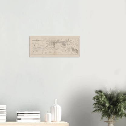 Dannevirke map print displayed horizontally on a light wall above books and white vases, with a leafy plant to the right.