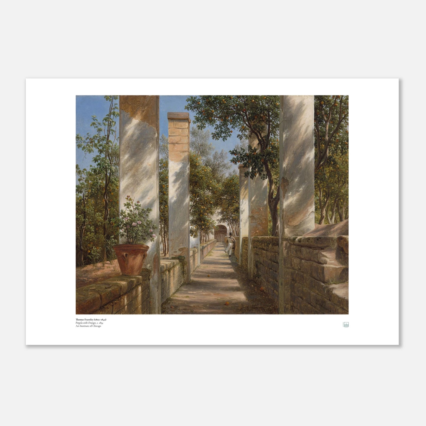 Thomas Fearnley Pergola with Oranges Nordic poster in 50 x 70 cm