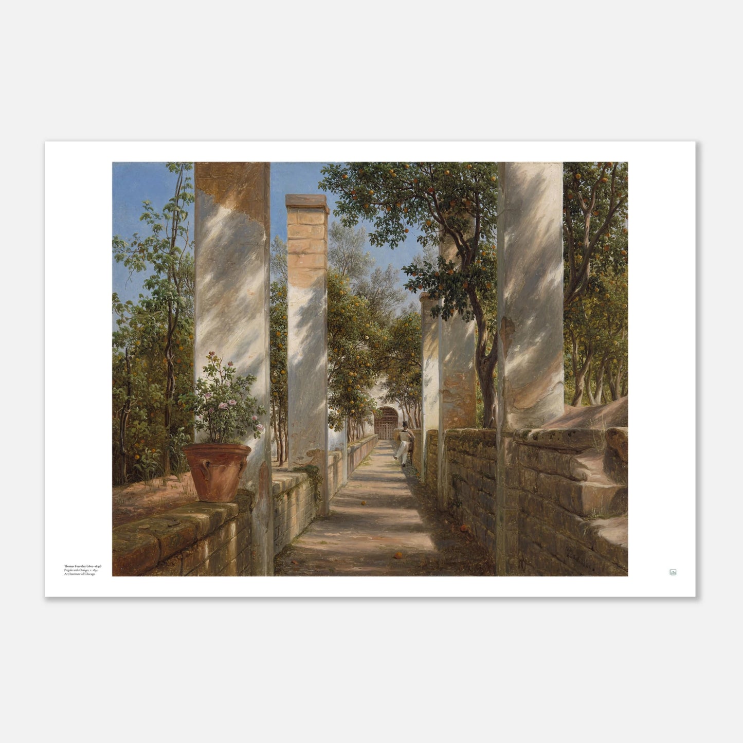 Large Thomas Fearnley Pergola with Oranges poster in 70 x 100 cm